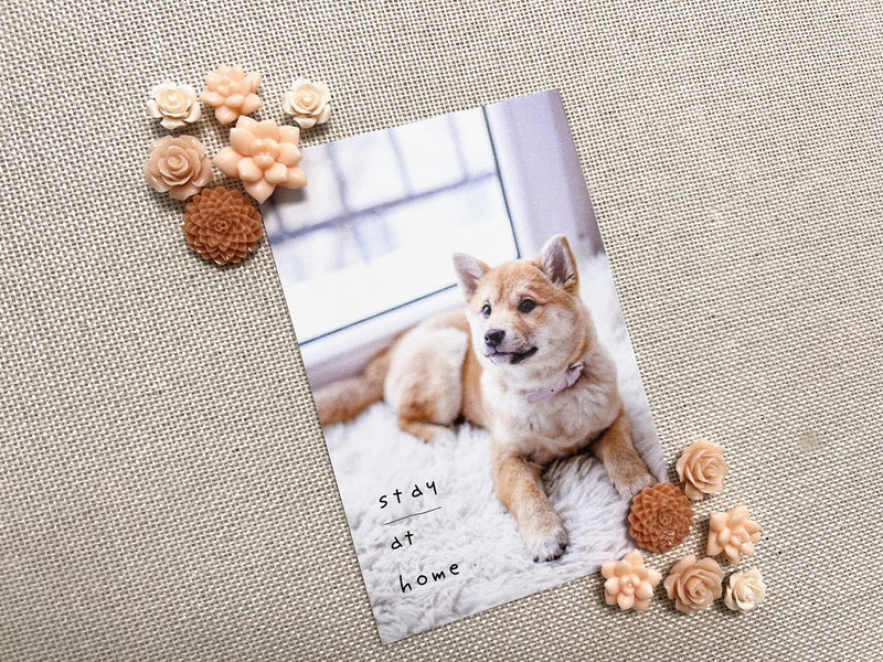 Temoyj 24Pcs Decorative Push Pins for Bulletin Board,Cork Board, Office Organization or Home - Image 4
